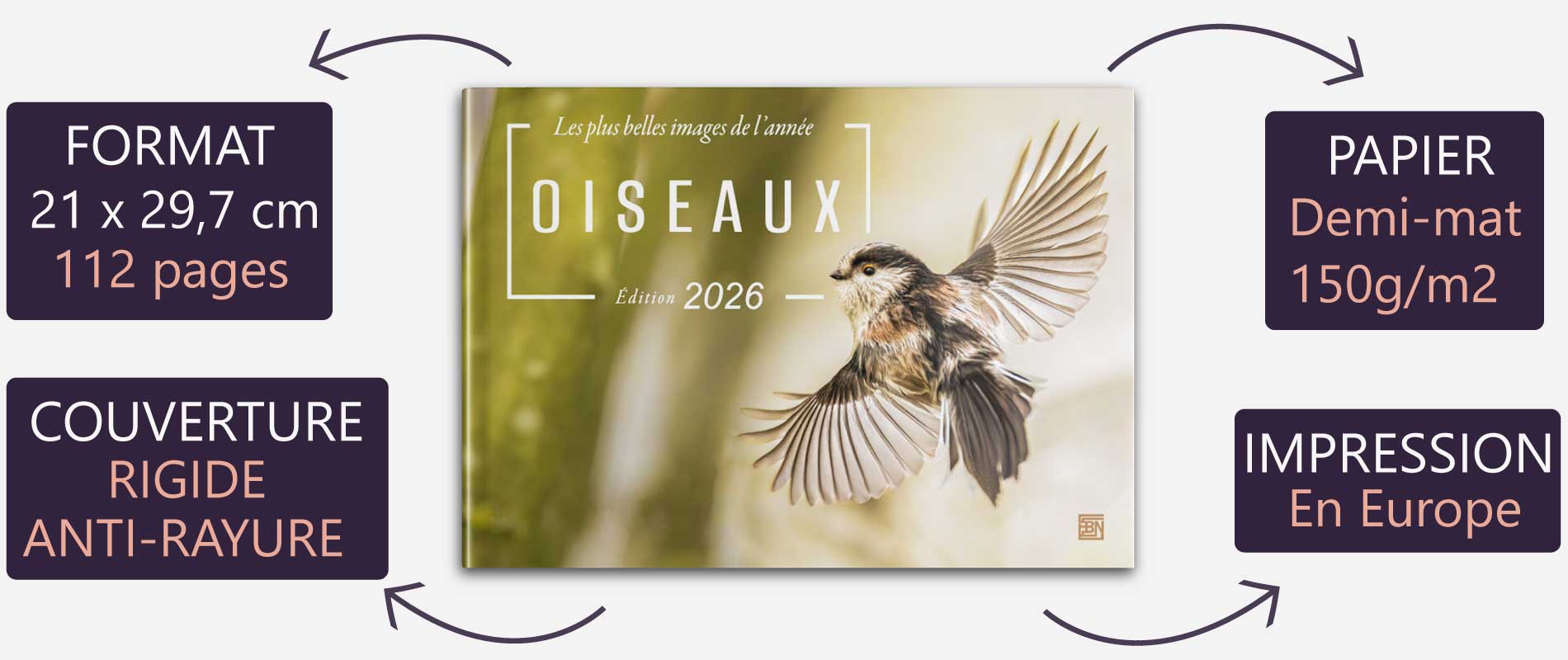 caracteristiques livre-oiseaux les plus belles images - edition 2025