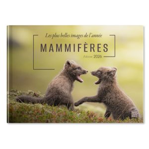 Couverture-boutique-mammiferes-les-plus-belles-images-de-l-année--edition-2026