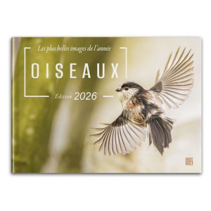 Couverture-boutique-oiseaux-les-plus-belles-images-de-l-année--edition-2026