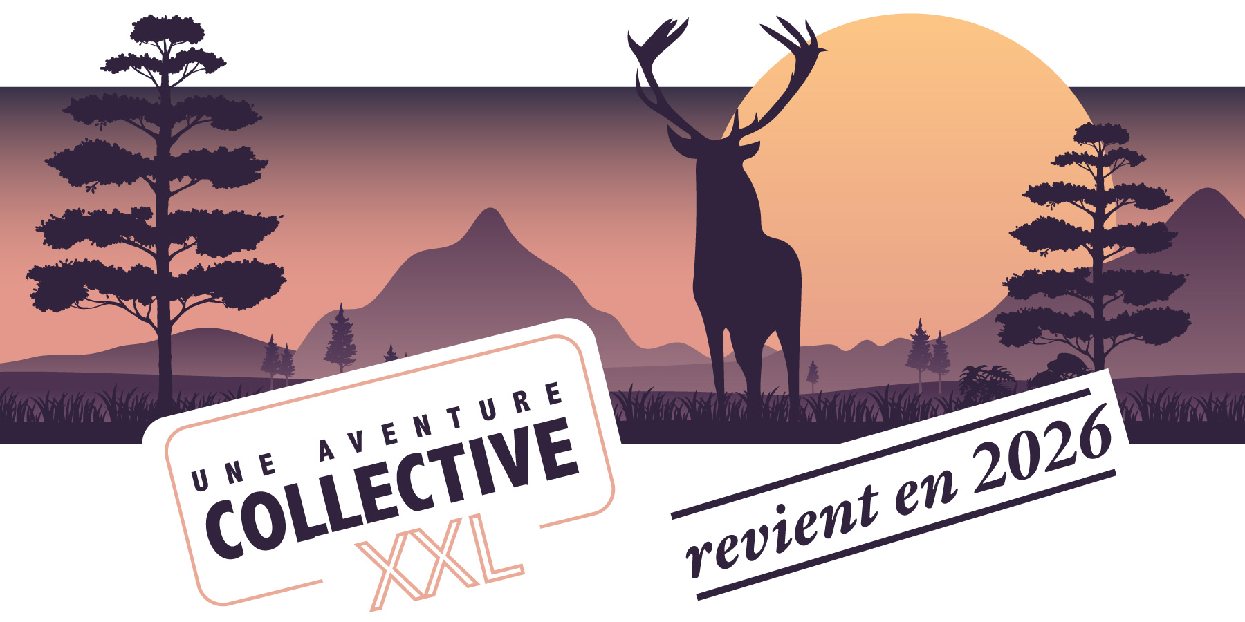 mammiferes-les-plus-belles-images-de-l-année--edition-2026