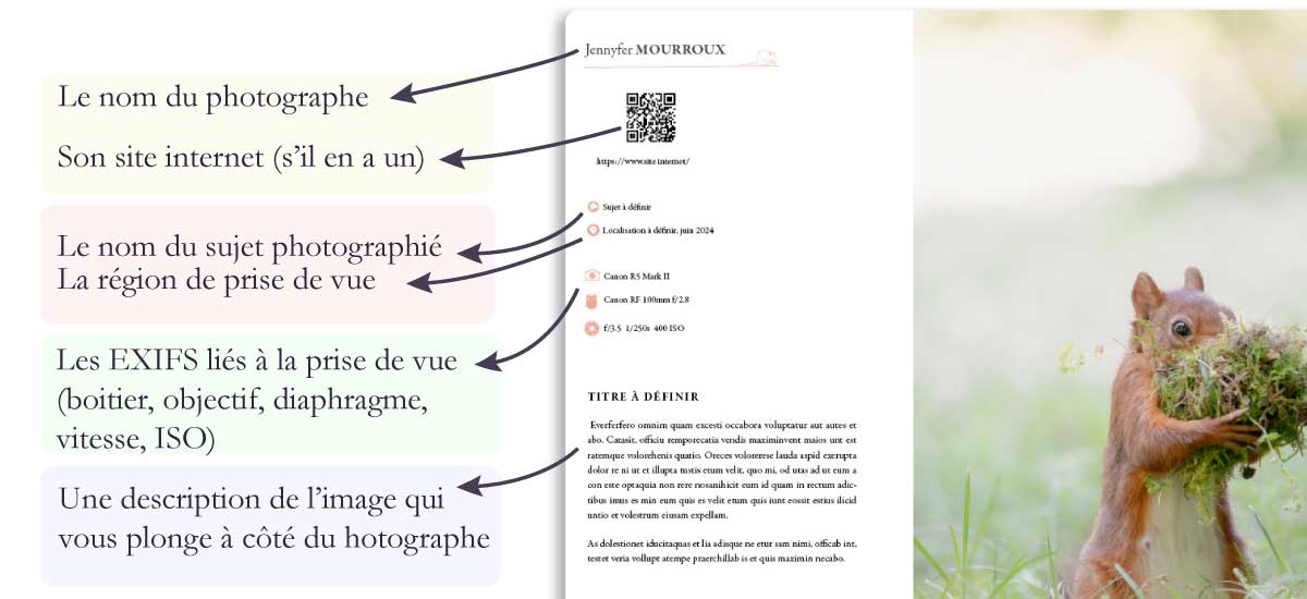 mammiferes-les-plus-belles-images-de-l-année--edition-2026