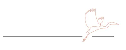 icone oiseaux les plus belles images de l année- edition 2026