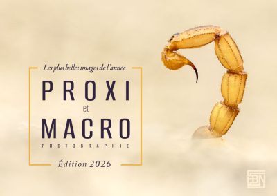 macro et proxi les plus belles images de l'année edition 2026 3macro et proxi les plus belles images de l'année edition 2026
