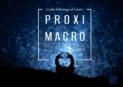 macro et proxi les plus belles images de l'année edition 2026 3macro et proxi les plus belles images de l'année edition 2026