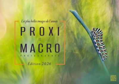 macro et proxi les plus belles images de l'année edition 2026 3macro et proxi les plus belles images de l'année edition 2026
