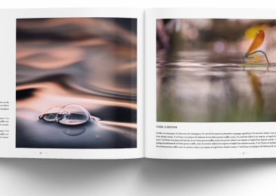 macro et proxi les plus belles images de l'année edition 2026 3macro et proxi les plus belles images de l'année edition 2026