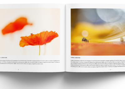 macro et proxi les plus belles images de l'année edition 2026 3macro et proxi les plus belles images de l'année edition 2026