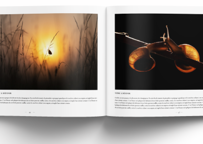 macro et proxi les plus belles images de l'année edition 2026 3macro et proxi les plus belles images de l'année edition 2026