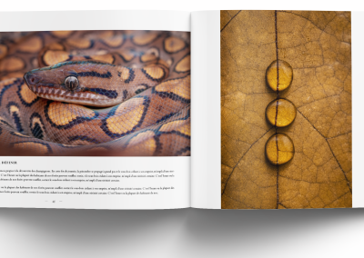 macro et proxi les plus belles images de l'année edition 2026 3macro et proxi les plus belles images de l'année edition 2026