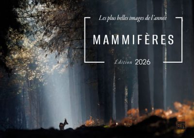 mammiferes-les-plus-belles-images-de-l-année--edition-2026
