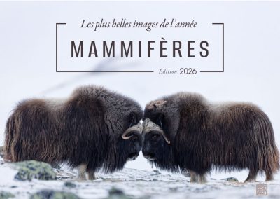 mammiferes-les-plus-belles-images-de-l-année--edition-2026