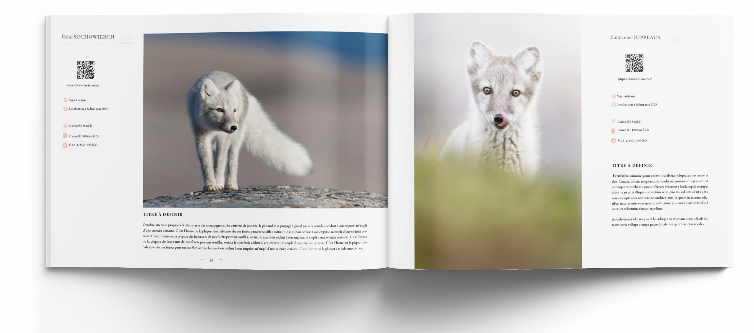 mammiferes-les-plus-belles-images-de-l-année--edition-2026