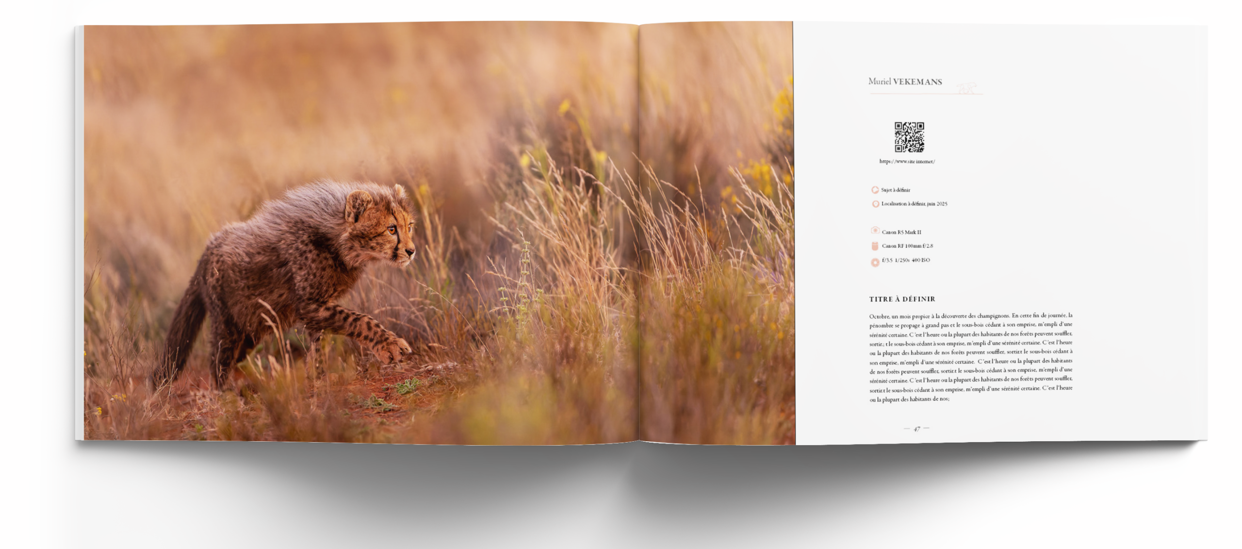 mammiferes-les-plus-belles-images-de-l-année--edition-2026