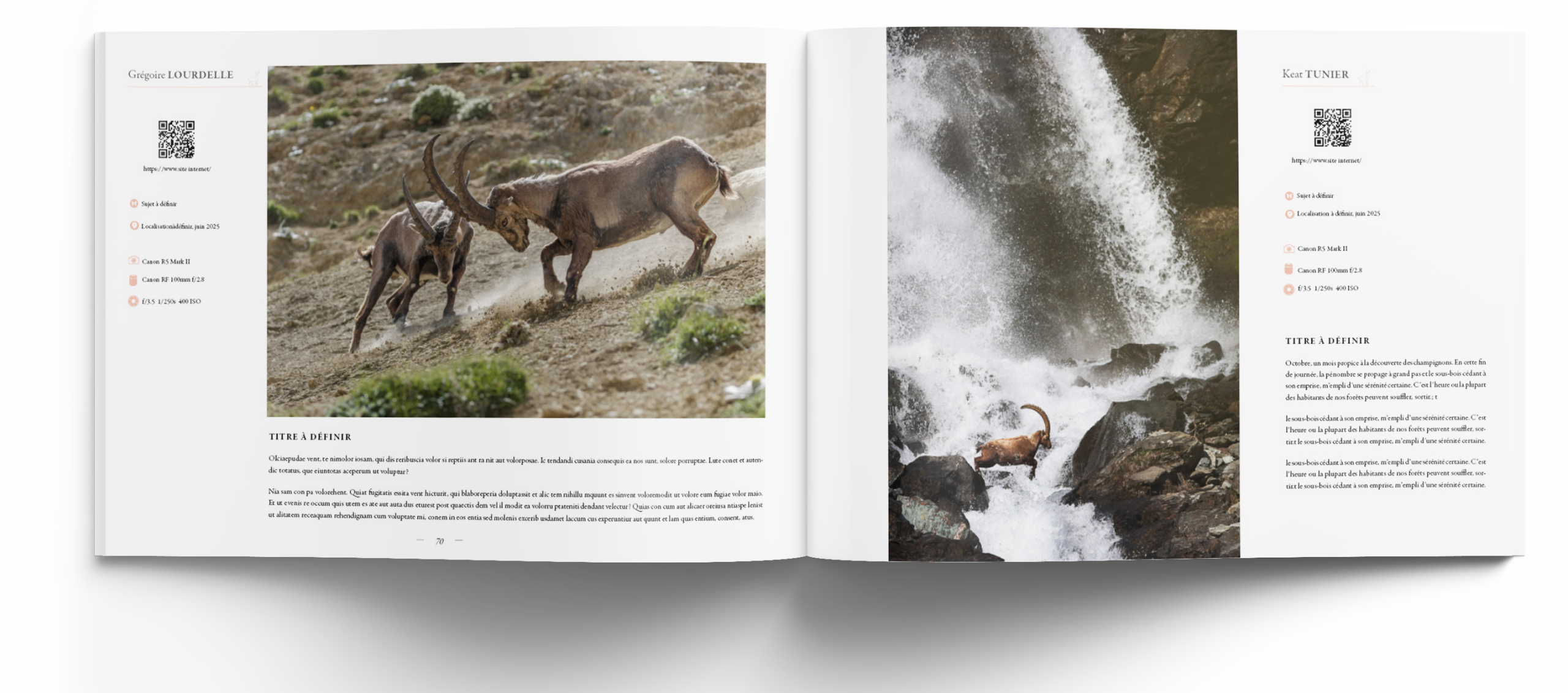 mammiferes-les-plus-belles-images-de-l-année--edition-2026