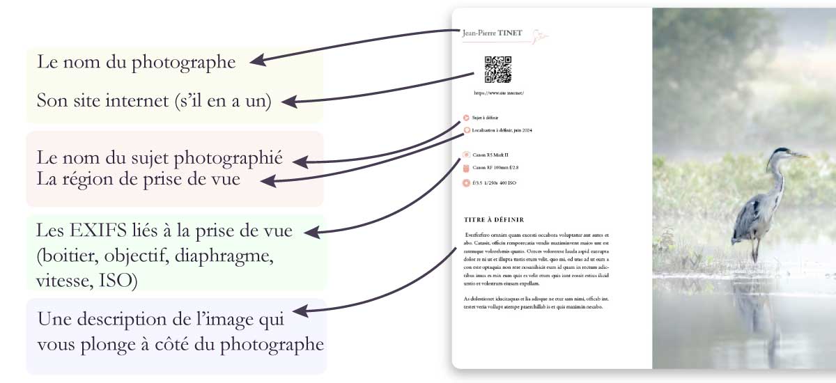 descriptif oiseaux les plus belles images de l année- edition 2026