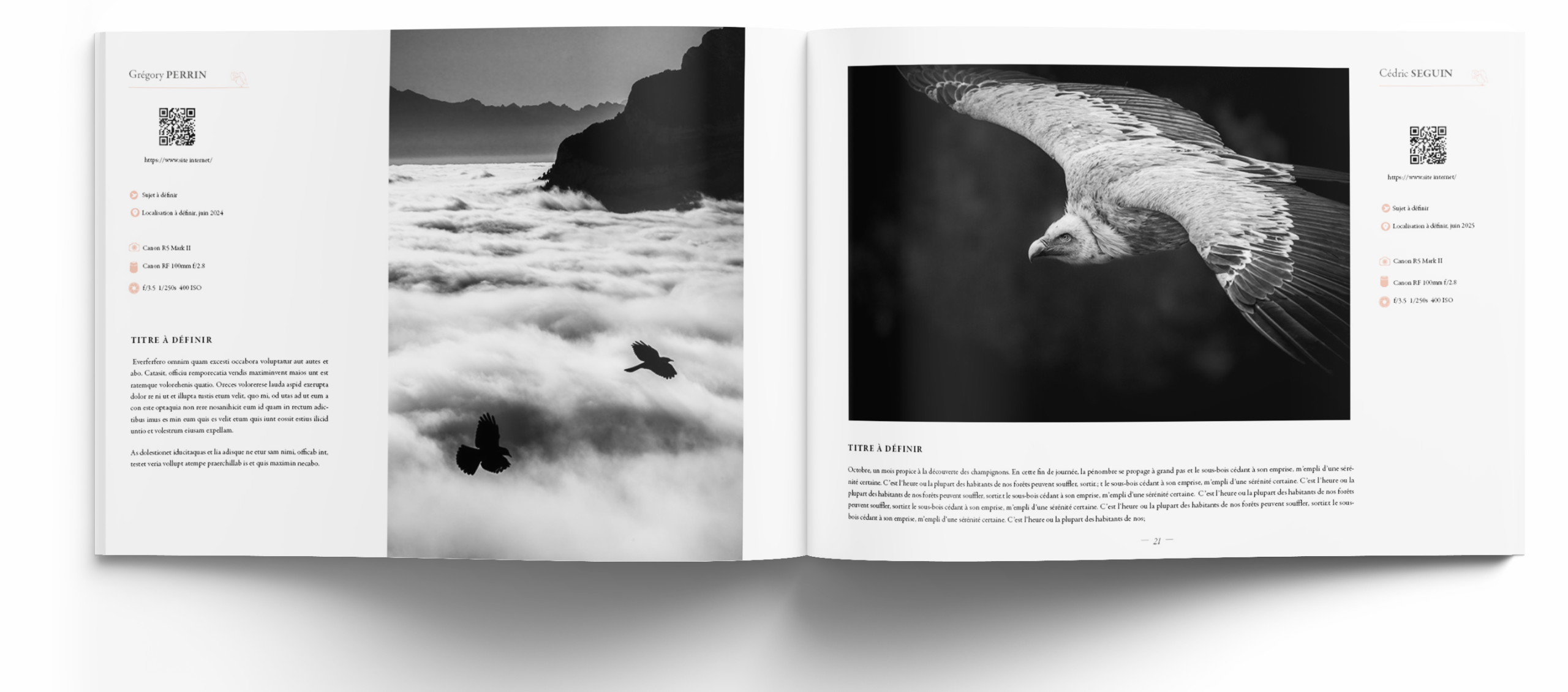 oiseaux les plus belles images de l année- edition 2026