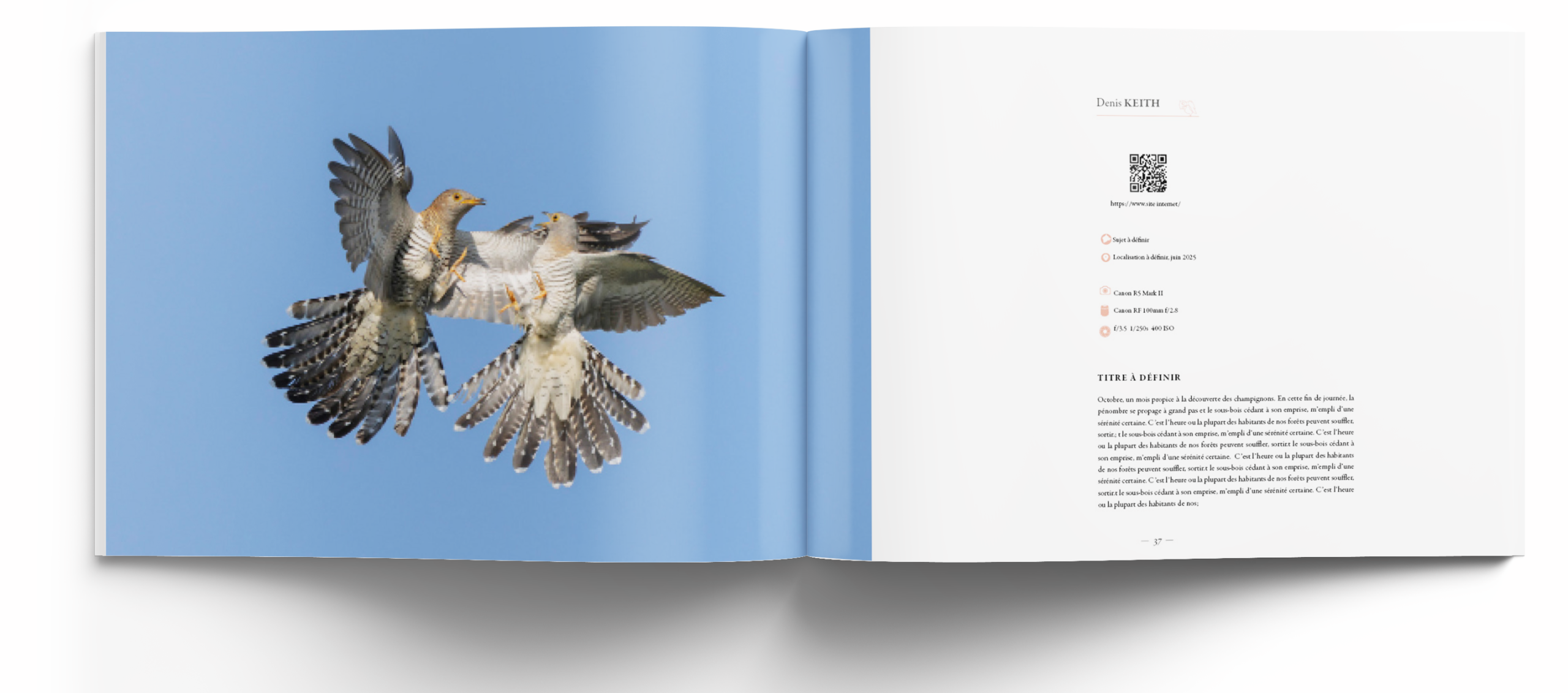 oiseaux les plus belles images de l année- edition 2026