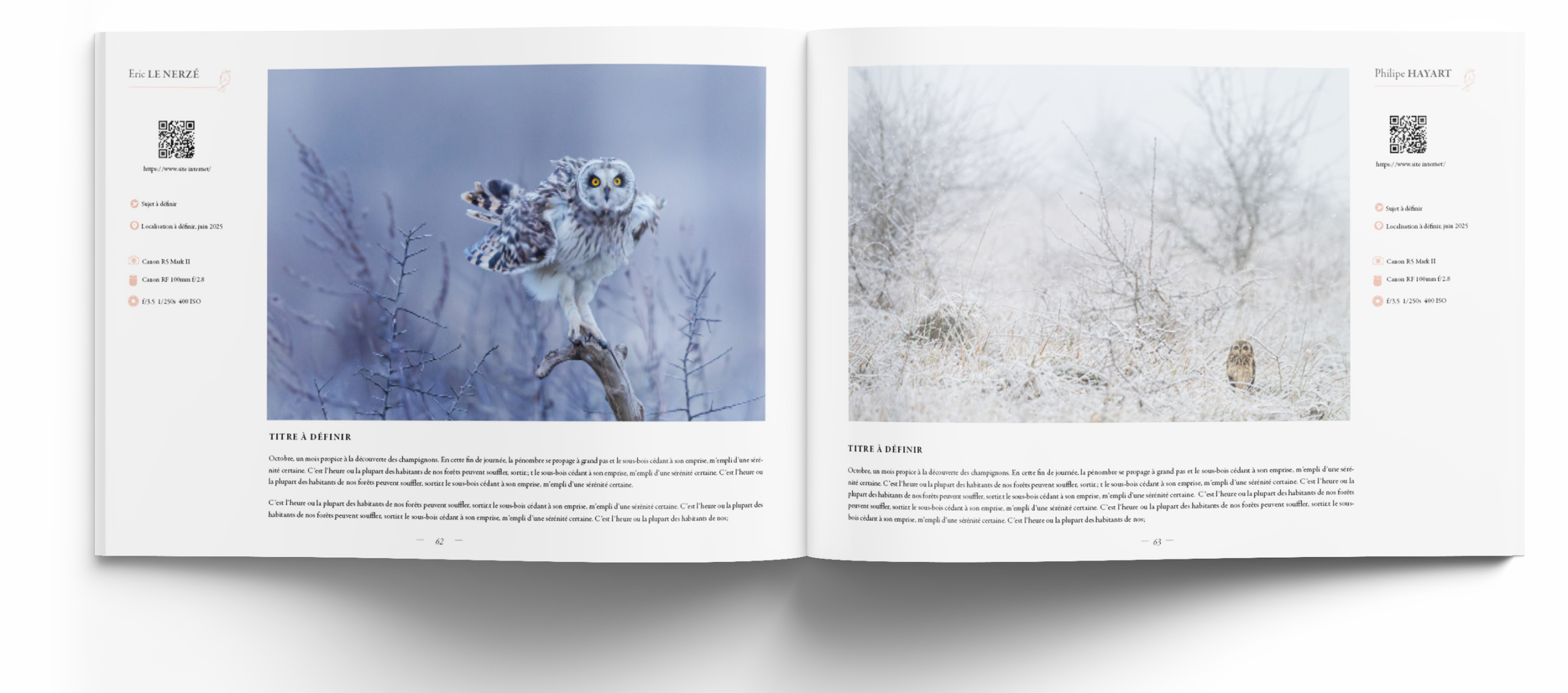 oiseaux les plus belles images de l année- edition 2026