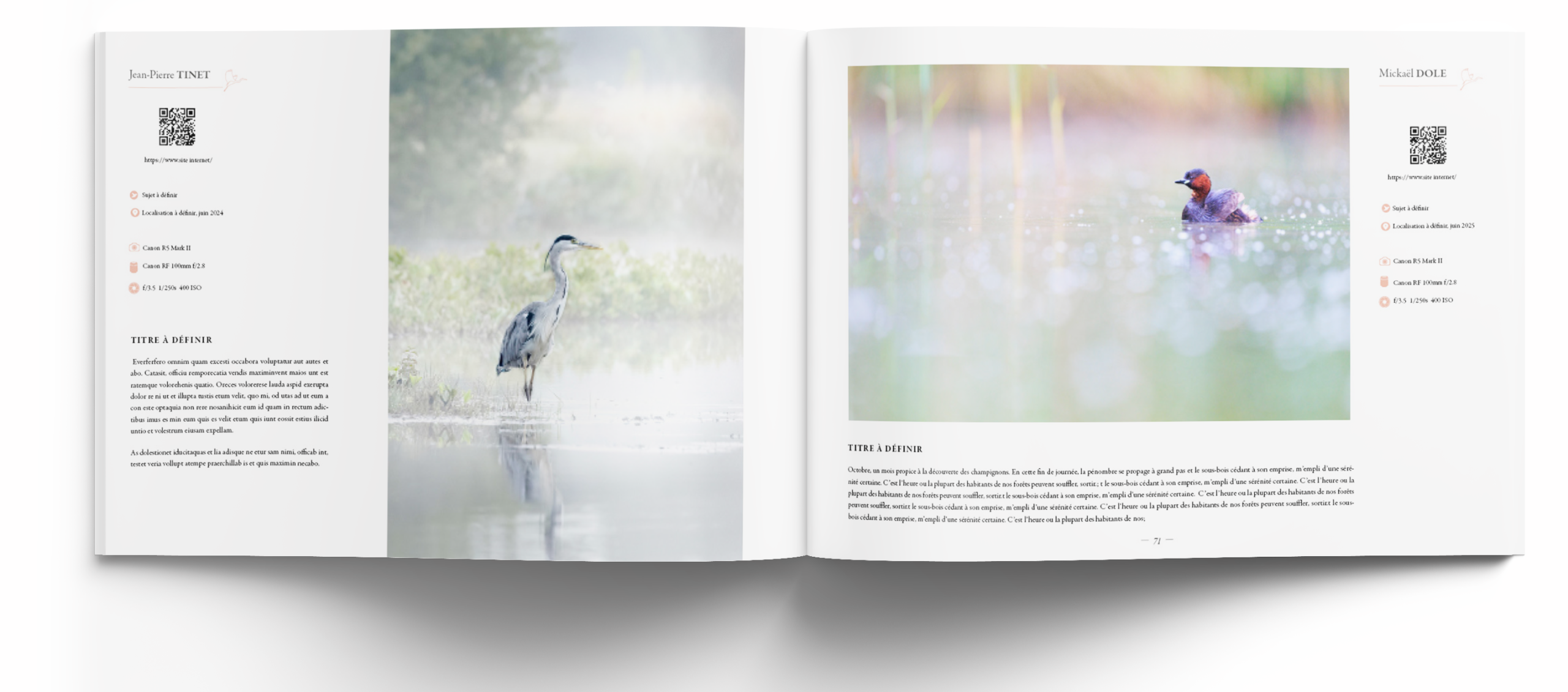 oiseaux les plus belles images de l année- edition 2026