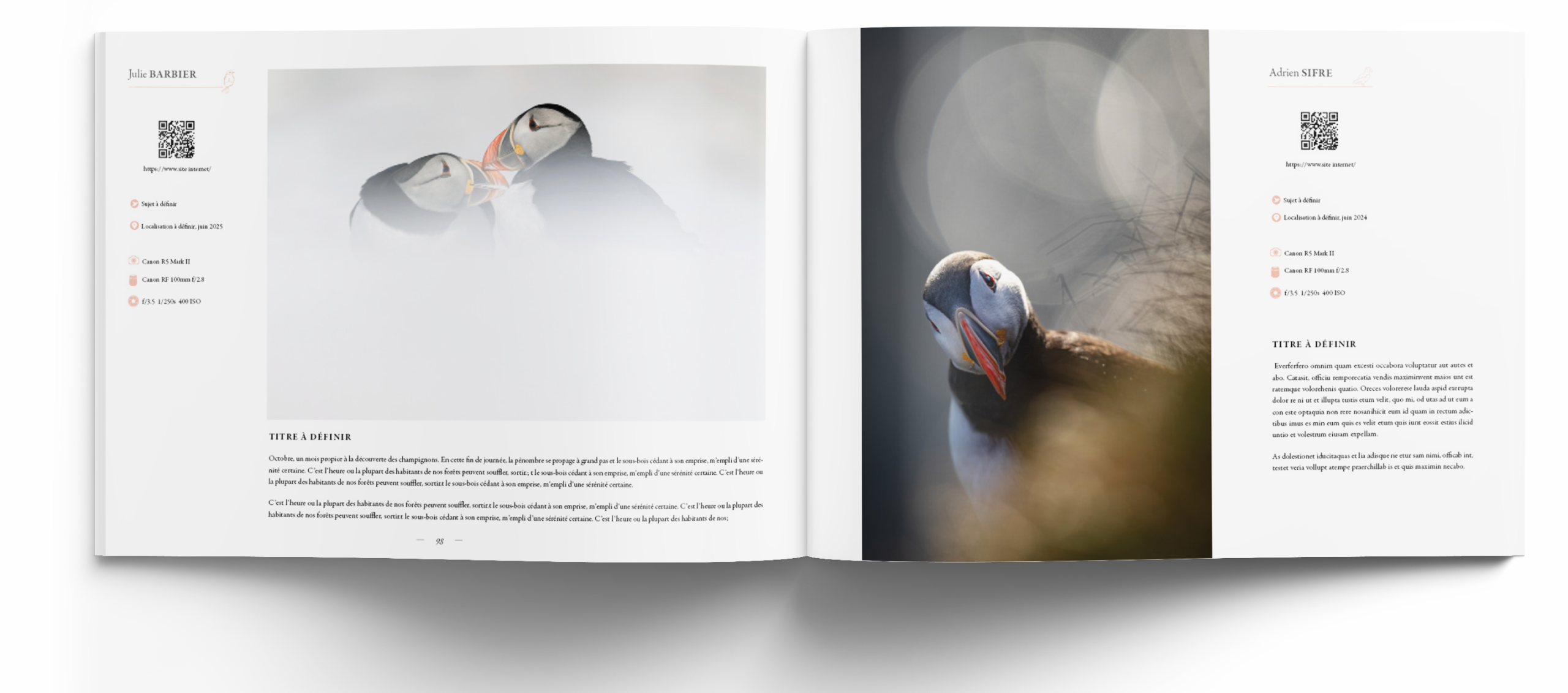 oiseaux les plus belles images de l année- edition 2026