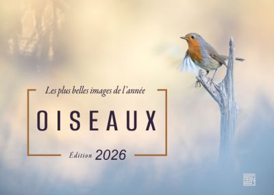 oiseaux les plus belles images de l année- edition 2026