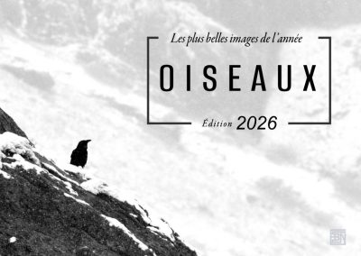 oiseaux les plus belles images de l année- edition 2026