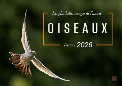 oiseaux les plus belles images de l année- edition 2026