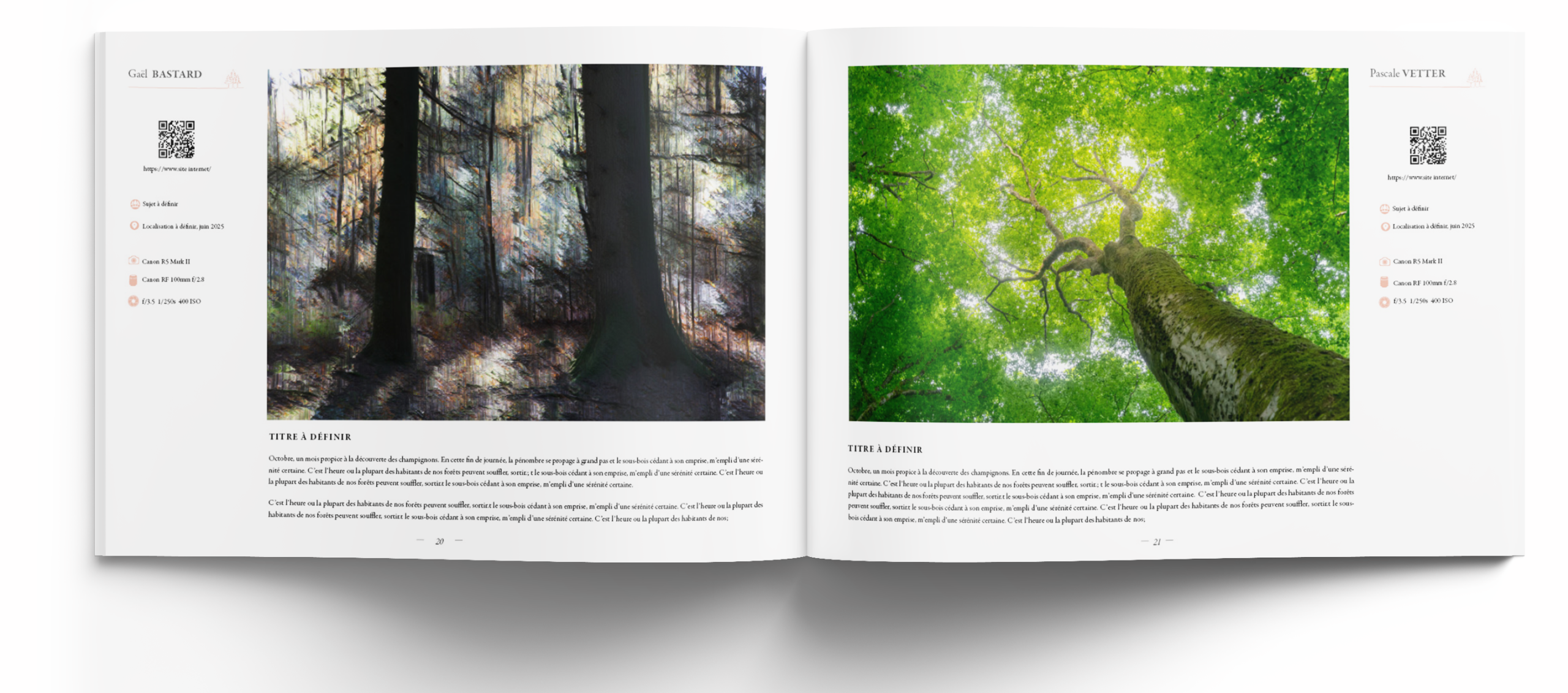 paysage les plus belles images de l année- edition 2026 10